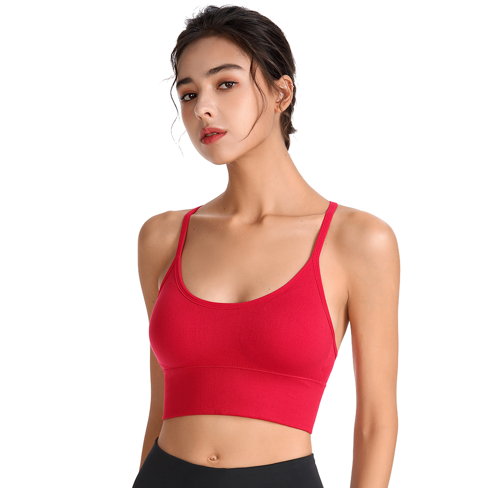 Sports Wear For Women Gym Bra  – Yoga Fitness Plus recenzja i cena
