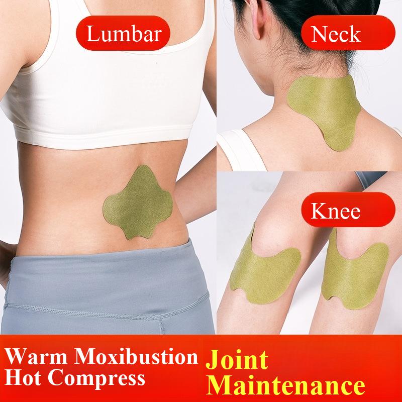 100pcs Wormwood Lumbar Patches – Yoga Health & Fitness Centre recenzja i cena