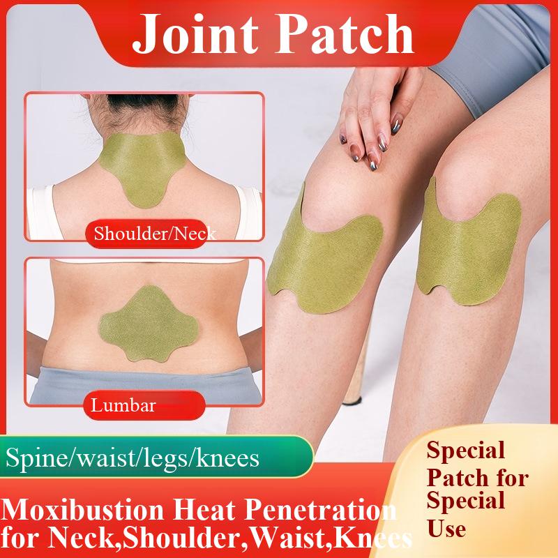 100pcs Wormwood Lumbar Patches – Yoga Health & Fitness Centre recenzja i cena