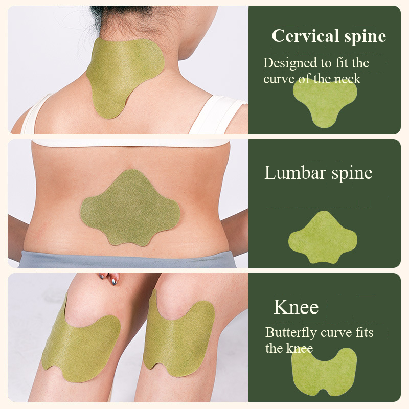 100pcs Wormwood Lumbar Patches – Yoga Health & Fitness Centre recenzja i cena
