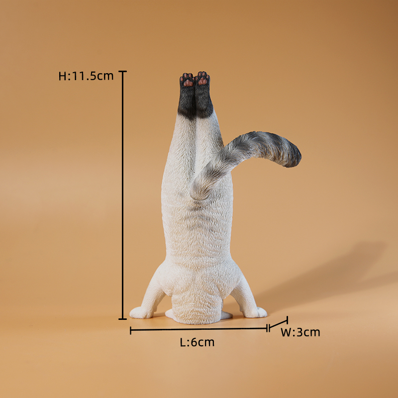 1/6 Scale Mini Simulated Fitne – Yoga In Fitness First recenzja i cena
