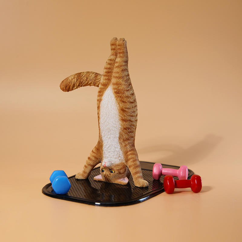 1/6 Scale Mini Simulated Fitne – Yoga In Fitness First recenzja i cena