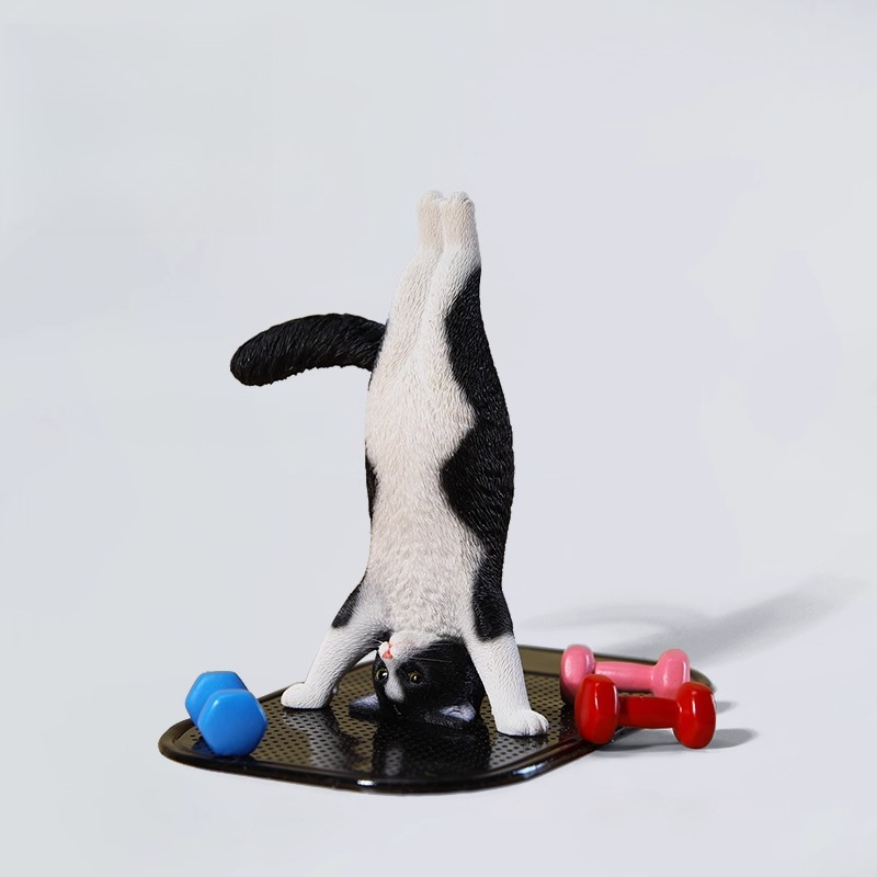 1/6 Scale Mini Simulated Fitne – Yoga In Fitness First recenzja i cena